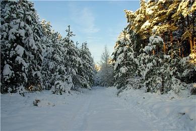 《英雄联盟》新英雄虚空女皇技能预览 预计12.11版本上线